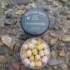 BLOODWORM WAFTERS 6mm STREAK / DUO TWO COLOURS